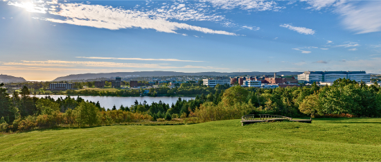 A photograph taken from a hill, overlooking the St. John's campus of Memorial university.